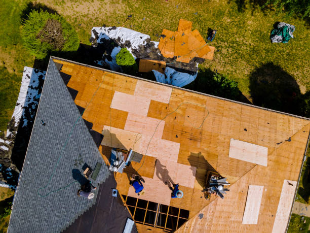 Best Roof Maintenance Services  in Anthony, KS